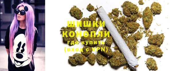 сатива Надым
